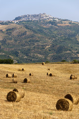 Landscape in Basilicata (Italy) at summer