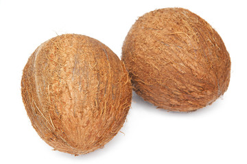 Coconuts