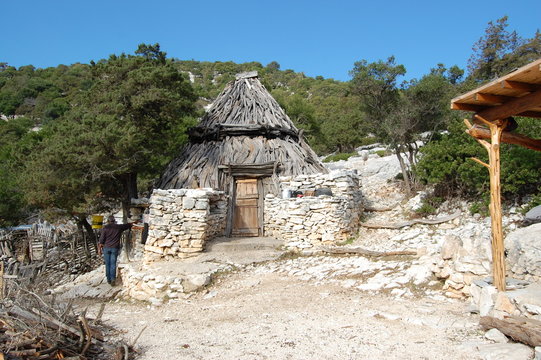 Bucchi Arta