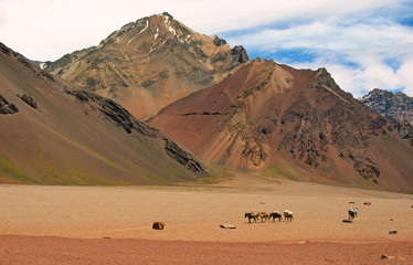 Fototapeta na wymiar Piękny górski krajobraz w Argentynie, Ameryka Południowa.