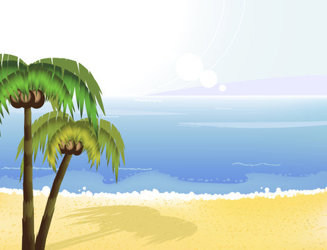 Sunshine coast and coconut palms