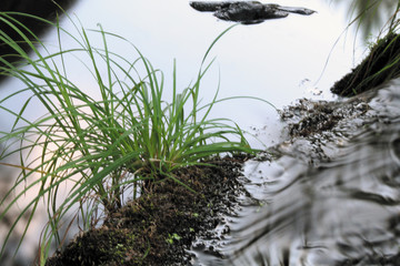 Arroyo de Rocasa, Sauceda, Hurdes, España