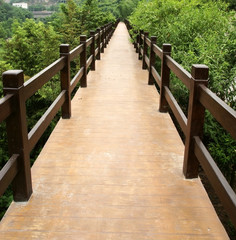 Bridge in park