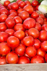 Red ripe tomatoes on display