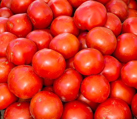 Red ripe tomatoes on display