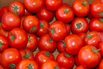 Red ripe tomatoes on display