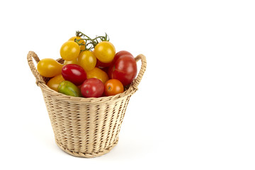Biotomaten im Korb. Organic tomatoes in the basket.