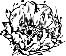 black and white drawing of beautiful flover bud