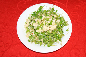 bean sprouts almond