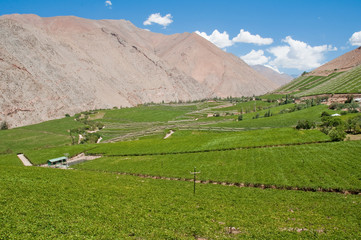 Valle de Elqui, Chile