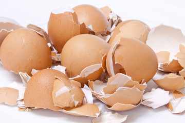 Fresh eggs shell  scattered