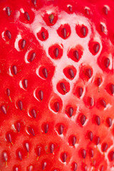 macro strawberry