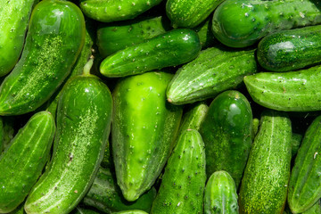 cucumbers