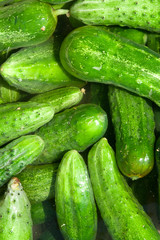 cucumbers