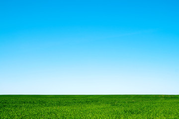 Obraz premium landscape