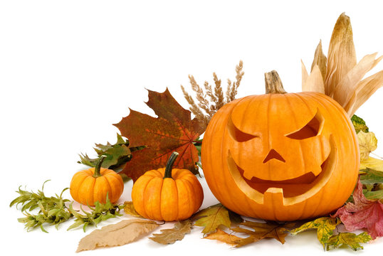 Halloween Arrangement auf wei&szlig; mit Textfreiraum