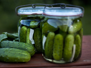 pickled cucumber  / ogórki kiszone