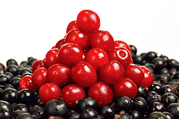 Red and black berries on white background