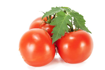 ripe tomatoes