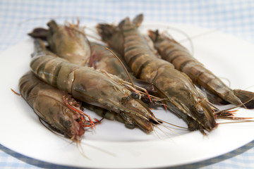 Prawns