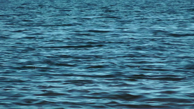 River background. Volga.