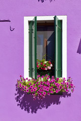 Finestra con vasi fioriti a Burano