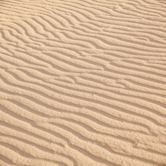 sand surface
