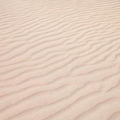 sand surface