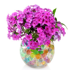 beautiful flowers in vase with hydrogel isolated on white