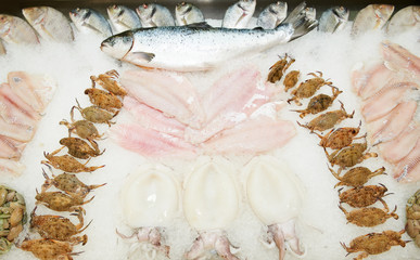 set of fresh frozen seafood