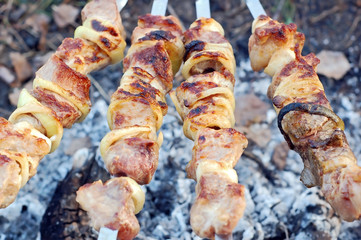 shish kebab on skewers and hot coals