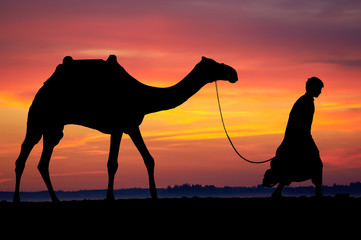 Silhouette of Arab with camel at sunrise