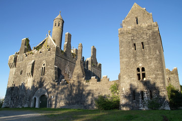Fototapeta na wymiar Zamek w zachodniej Irlandii Dromore