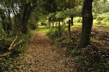 Camino a La Atalaya