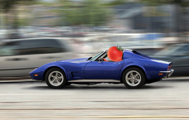 Fototapeta na wymiar Tomato drives car