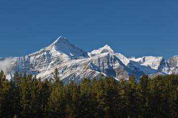 Fototapeta na wymiar Snowcapped Canadian Rockies