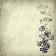 textured old paper background with delphinium flower spike