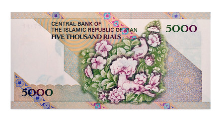 Currency of Iran 5000 rials bill