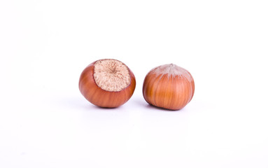 hazelnuts on white