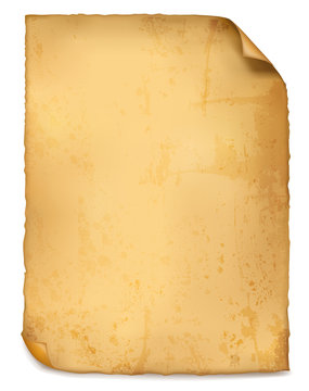 Old worn paper background. Vector.