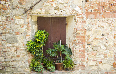 Fototapeta na wymiar stare tuscan drzwi z kwiatami