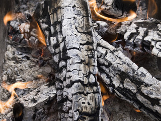 firewood ashes