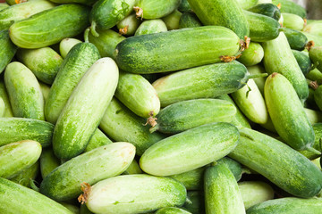 Pile of cucumber in fresh market , asian style vegetable , close