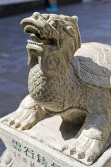Stone carving of turtle