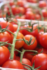 Cherry tomatoes on display at the market