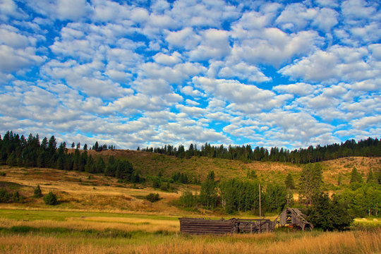Field & Sky II