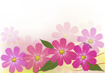 Background with beautiful color flowers. Vector illustration.