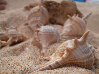 Sea World