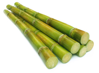 Sugar cane over white background