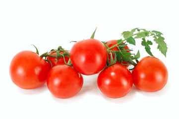ripe tomatoes